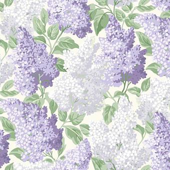 Флизелиновые обои Cole & Son 115/1004 коллекции Botanical Botanica